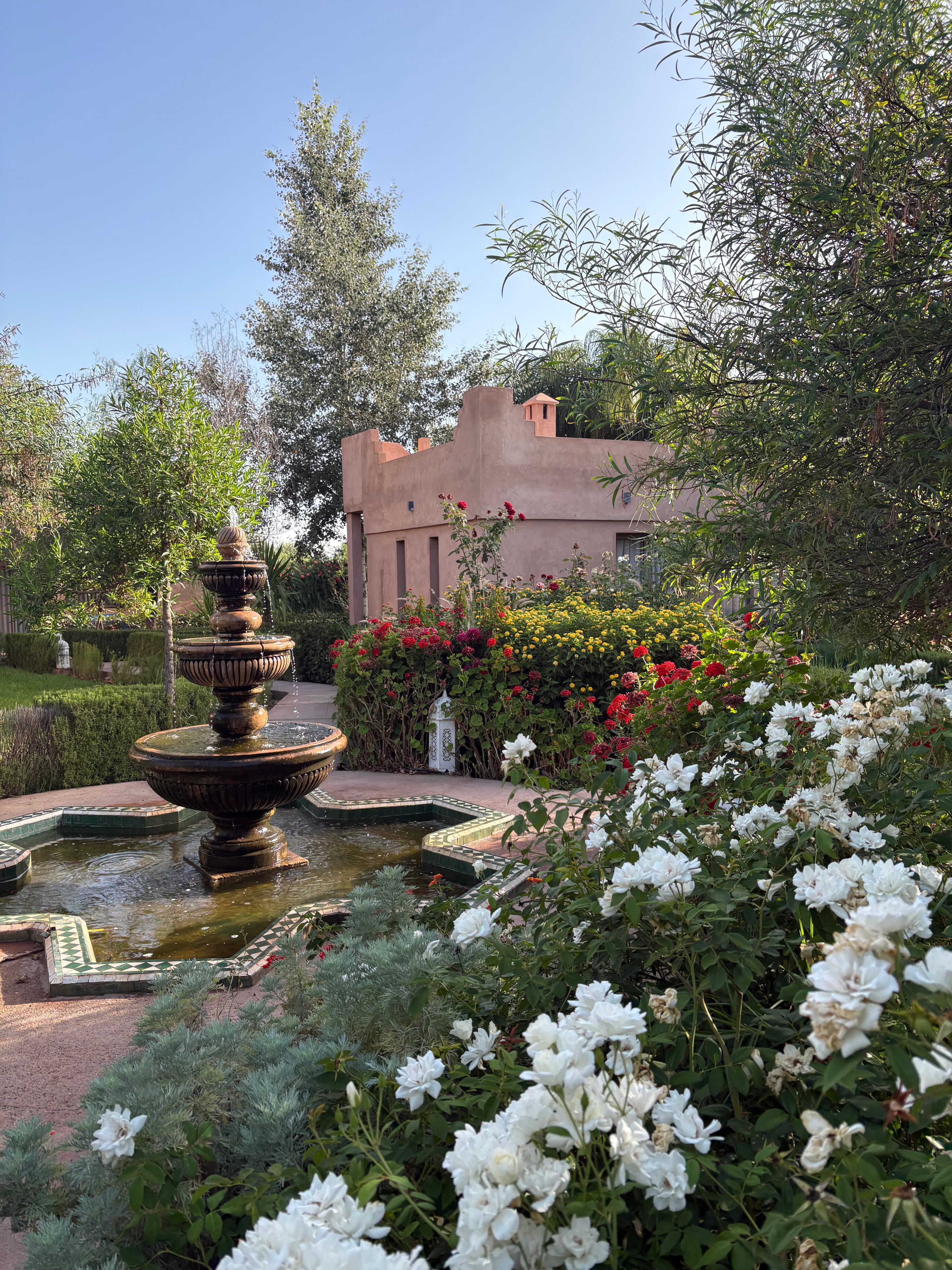 Riad garden with fountain and flowering plants