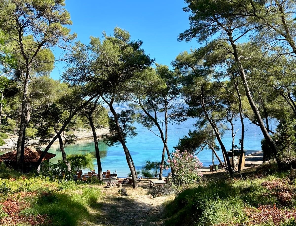 Pine trees framing turquoise Croatian cove