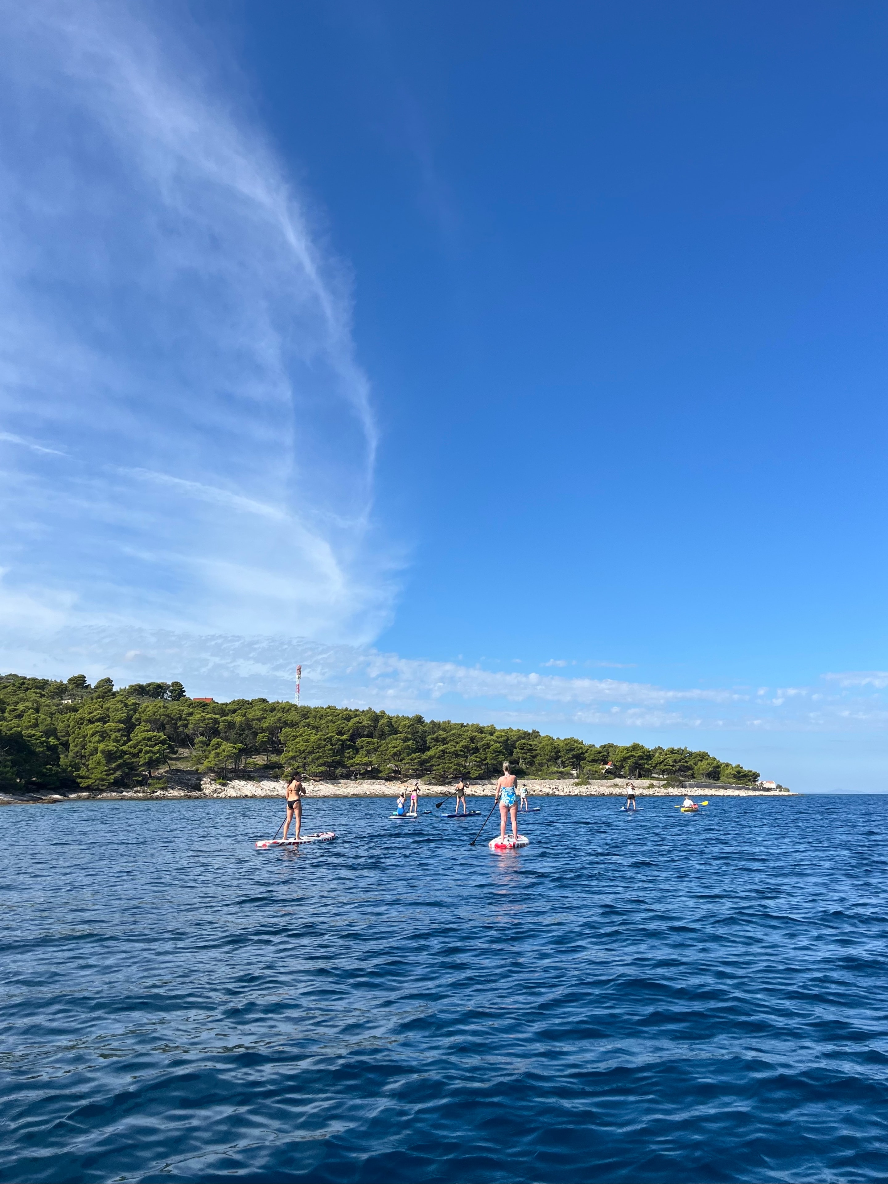 Group paddleboarding on the Adriatic near pine-covered coast